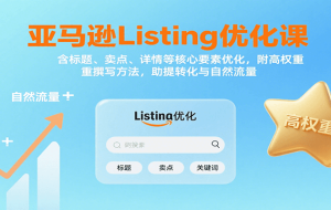 亚马逊Listing优化课：标题、卖点、详情等，高权重撰写方法，提转化与自然流量