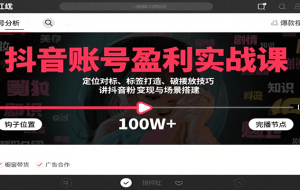 抖音账号盈利实战课，定位对标、标签打造、破播放技巧，讲涨粉变现与场景搭建