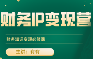 有有老师·财务IP变现营，财务知识变现必修课