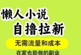 懒人小说自撸拉新，无需流量，一个账号一条作品就可以打爆收益，在家也能轻松做的副业【揭秘】