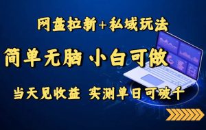 （15744期）网盘拉新+私域玩法，简单无脑，小白可做，当天见收益，实测单日可破千