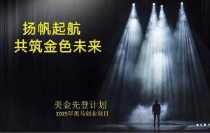 （15748期）美金对冲创业项目，日收益1000-3000，小众暴力项目稳定运行8年