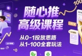 随心推高级课程，从0-1投放思路，也有从1-100的全套玩法