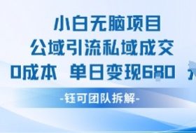 小白无脑项目公域引流私域成交0成本单日变现680米