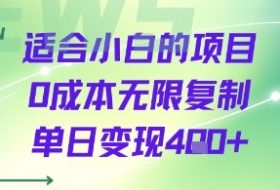 适合小白的项目0成本无限复制单日变现4张+