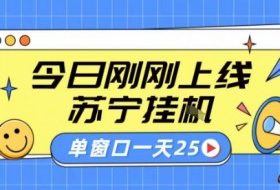 苏宁全自动采集挂G项目 稳定可批量 单窗口收益30+ 附教程【揭秘】