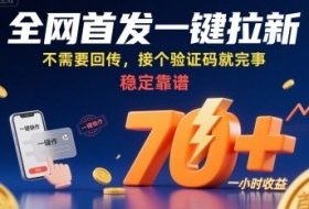 全网首发一键拉新项目，不需要回传，接个验证码就完事，稳定靠谱，一小时收益70+【揭秘】