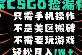 CSGO自动捡漏项目，最新独家玩法，不是美区搬砖，不需要了解和玩游戏，新手小白轻松月入1W+【揭秘】