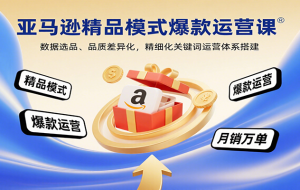 亚马逊精品模式爆款运营课：数据选品、品质差异化，精细化关键词运营体系搭建