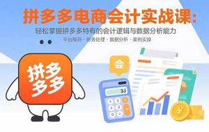 （15767期）拼多多电商会计实战课：轻松掌握拼多多特有的会计逻辑与数据分析能力