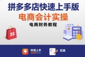 拼多多店快速上手版电商会计实操-电商财务教程