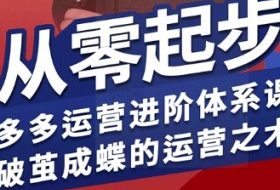 拼多多运营进阶系统课，从零起步，多多运营进阶体系课，破茧成蝶的运营之术