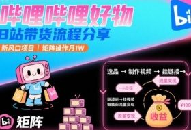 哔哩哔哩好物，B站带货流程分享，新风口项目，矩阵操作月1W