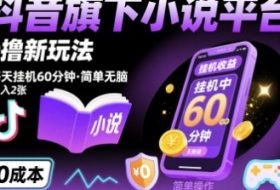 抖音旗下小说平台0撸新玩法，每天挂机60分钟，简单无脑，日入2张【揭秘】