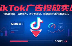 TikTok广告投放实战，含投放模式、后台操作，讲计划建立、数据监控与指标解读技巧