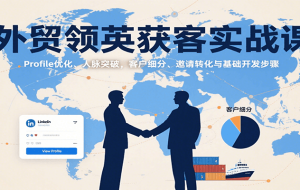外贸领英获客实战课：Profile优化、人脉突破，客户细分、邀请转化与基础开发步骤