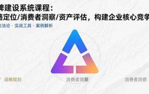 （15772期）品牌建设系统课程：战略定位/消费者洞察/资产评估，构建企业核心竞争力