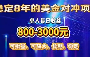 （15782期）稳定8年的美金对冲创业项目，单人每日收益800-3000，小众暴力项目