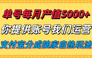 单月产值5000+，支付宝分成代运营，你提供账号坐等分钱，我们帮你运营