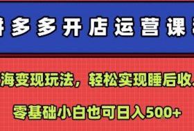 拼多多开店运营课程：蓝海变现玩法，轻松实现睡后收入，零基础小白也可日入5张
