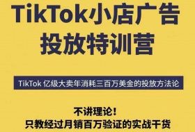TikTok小店广告投放特训营，6天破局计划专治各种“投不动”，教你经过月销百万验证的实战干货