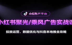 小红书从0到1赚钱实战课：账号定位、 爆款创作 、导流变现全攻略