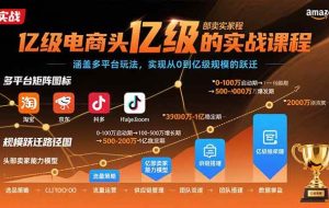 （15803期）亿级电商头部卖家的实战课程：涵盖多平台玩法，实现从0到亿级规模的跃迁