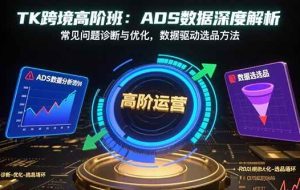 （15809期）TK跨境高阶班：ADS数据深度解析，常见问题诊断与优化，数据驱动选品方法