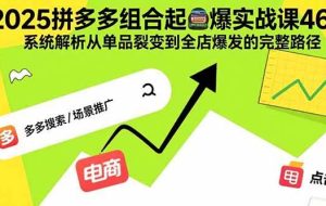 （15816期）2025拼多多组合起爆实战课46期：系统解析从单品裂变到全店爆发的完整路径
