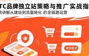 （15818期）DTC品牌独立站策略与推广实战指南，系统讲解从建站到流量转化的全链路运营