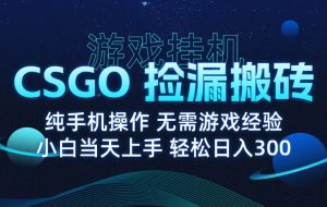 （15820期）8月最新游戏搬砖，CSGO纯挂机，不需要玩游戏，实现真挂机，月入1W+
