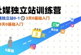 社媒独立站训练营，跑通独立站0-1，3天0基础入门