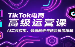 TikTok电商高级运营课：AI工具应用、数据解析与选品投流攻略