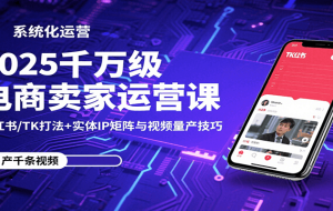 2025千万级电商卖家运营课：小红书/TK打法+实体IP矩阵与视频量产技巧