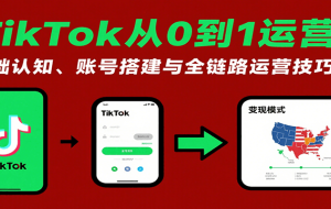 TikTok从0到1运营课：基础认知、账号搭建与全链路运营技巧