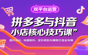 拼多多与抖音小店核心技巧课，图片设计、标题制作、定价规划与爆款打造全攻略