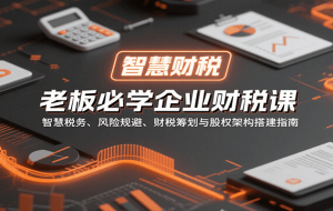 老板必学企业财税课：智慧税务、风险规避、财税筹划与股权架构搭建指南