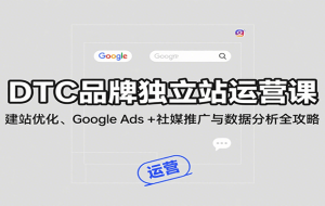 DTC品牌独立站运营课：建站优化、Google Ads + 社媒推广与数据分析全攻略