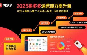 （15826期）2025拼多多运营能力提升课：认知→基础→推广→活动→玩法，五阶成长路径