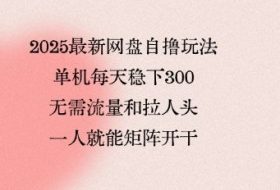 2025最新网盘自撸玩法，单机每天稳下3张，无需流量和拉人头，一个人就可轻松矩阵，全网独一份【揭秘】
