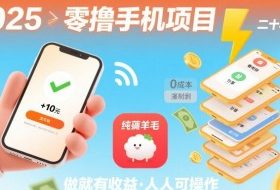 2025年零撸手机项目，二十秒一单，纯薅羊毛 一天2张+做就有【揭秘】