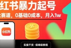 小红书暴力起号，小众赛道，0基础0成本，月入1w