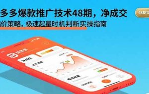 （15830期）拼多多爆款推广技术48期，净成交与出价策略，极速起量时机判断实操指南