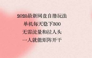 （15831期）2025最新网盘自撸玩法，单机每天稳下3张，无需流量和拉人头，一个人就…