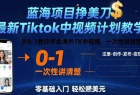 蓝海项目挣美刀，最新Tiktok中视频计划教学，从0-1教你学会海外TK中视频，一次性讲清楚