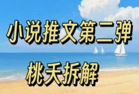 小说推文项目操作全流程第二弹，0粉就能做，门槛低非常适合新手