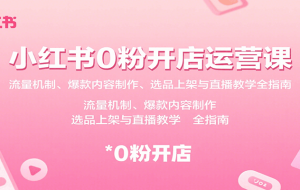小红书0粉开店运营课：流量机制、爆款内容制作、选品上架与直播教学全指南