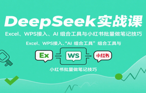 DeepSeek实战课：Excel、WPS接入、AI 组合工具与小红书批量做笔记技巧