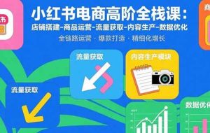 （15840期）小红书电商高阶全栈课：店铺搭建-商品运营-流量获取-内容生产-数据优化