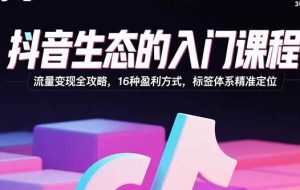 （15856期）抖音生态的入门课程：流量变现全攻略，16种盈利方式，标签体系精准定位